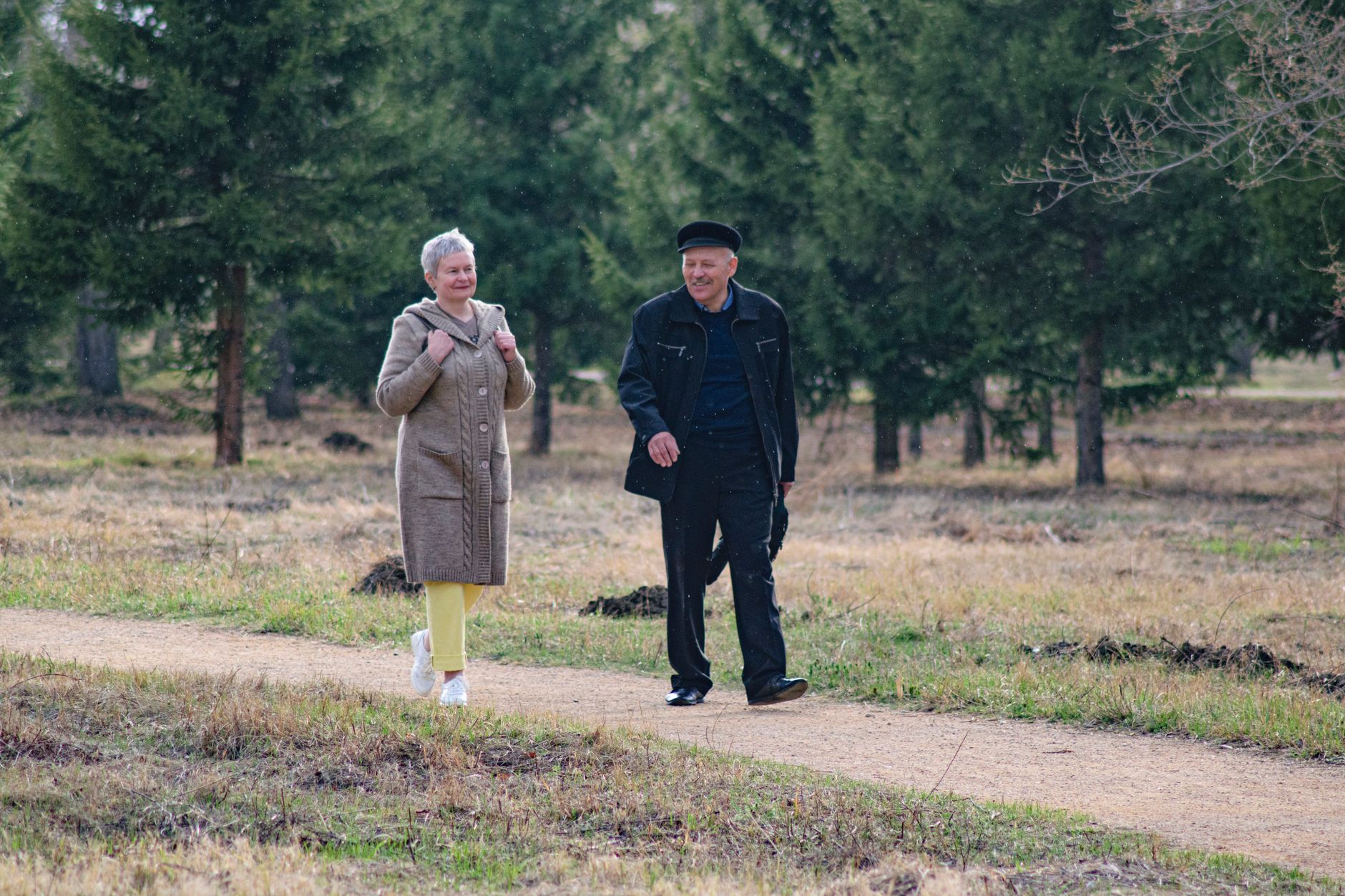 Choosing Your Path: Medicare Advantage vs. Supplemental Insurance - gr8medicaresolutions